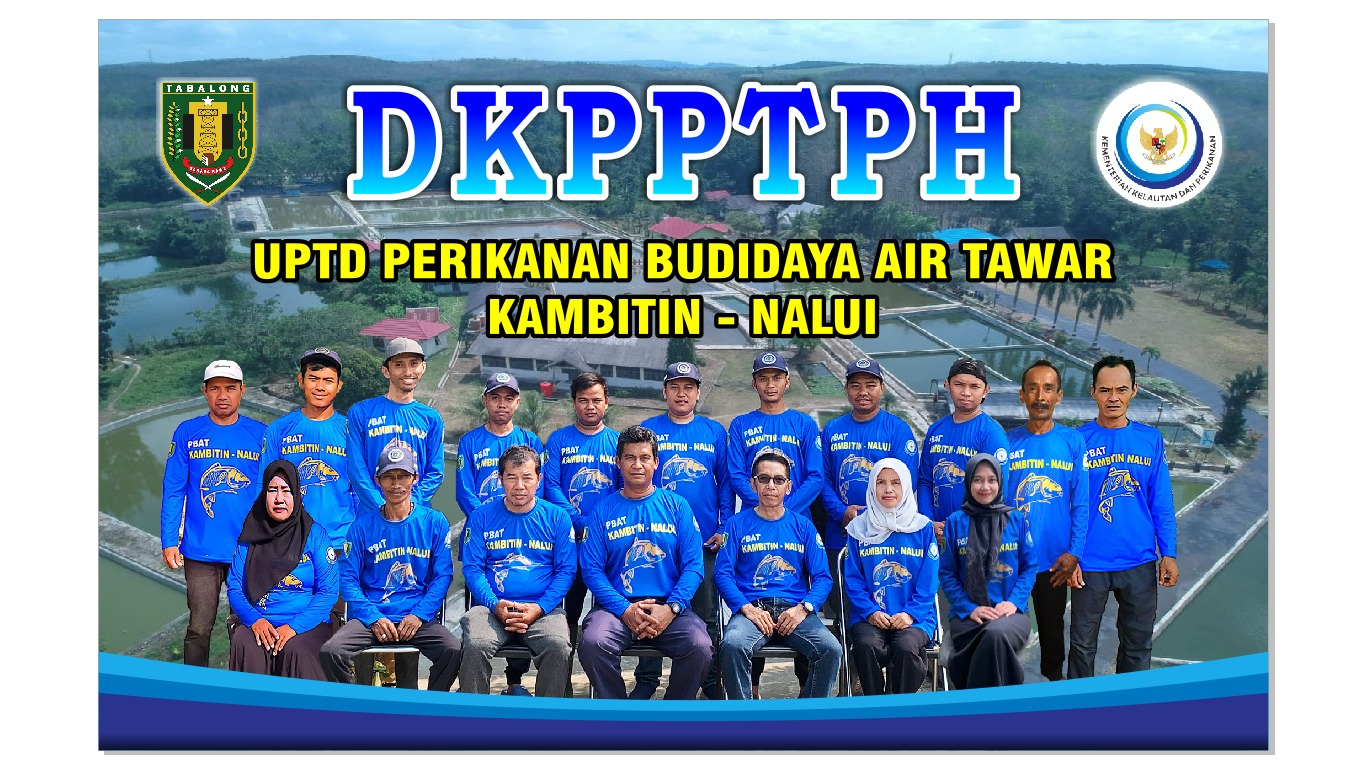Produksi benih ikan di Tabalong masih rendah