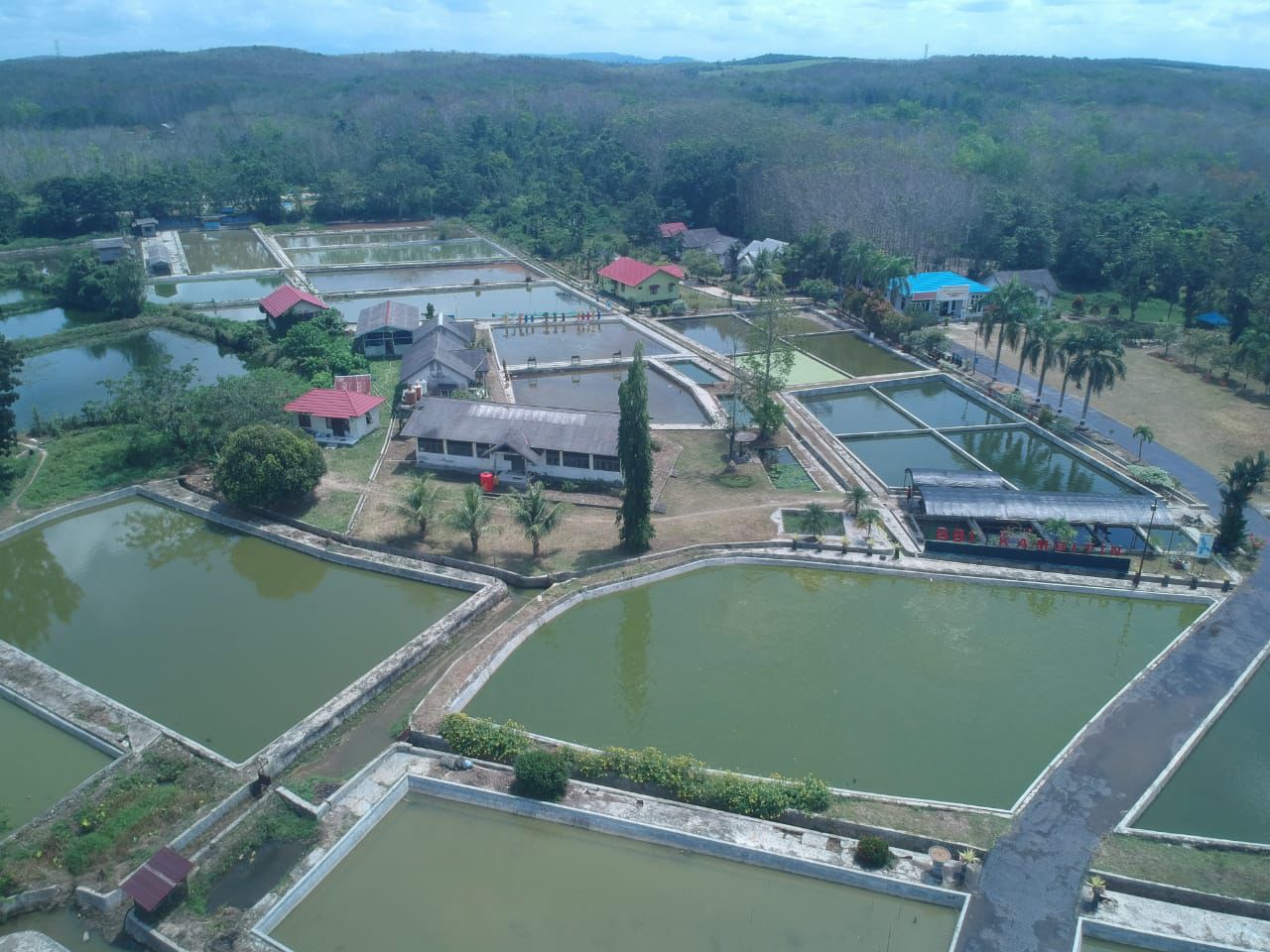DPRD Pulpis Kaji Banding Budidaya Ikan Lokal ke Tabalong