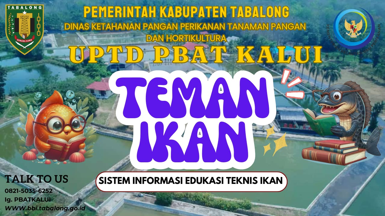 Kegiatan BBI Februari 2025